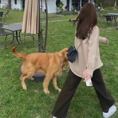 火星异种第二季